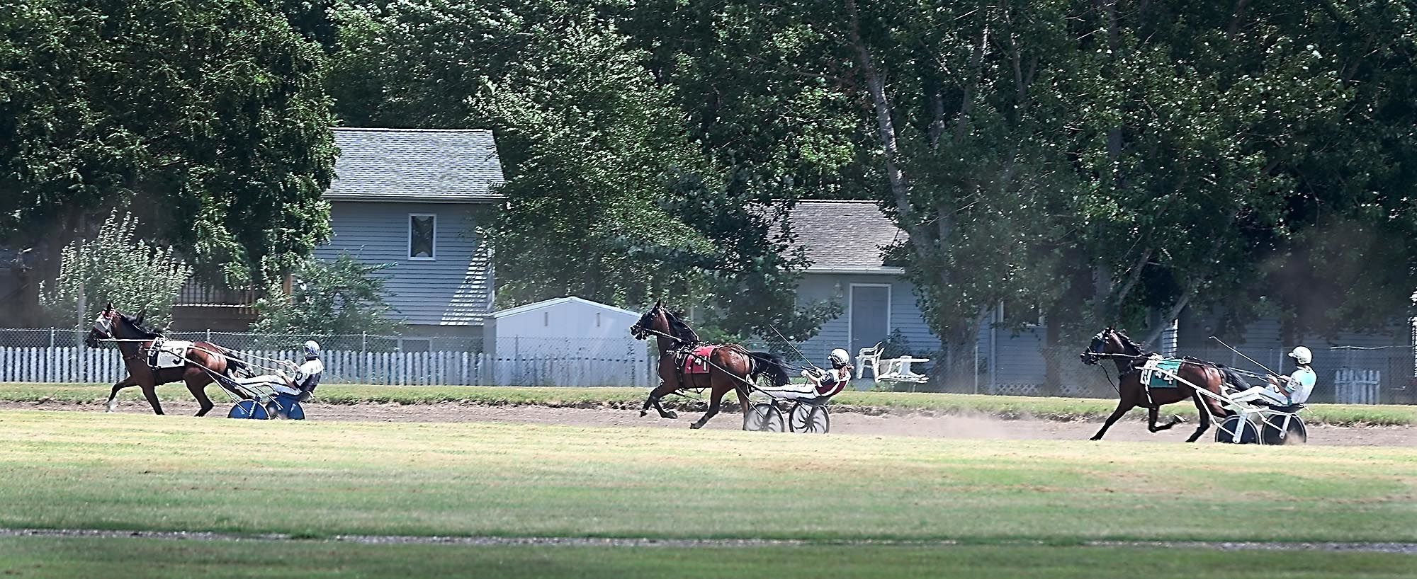 Harness racing 1